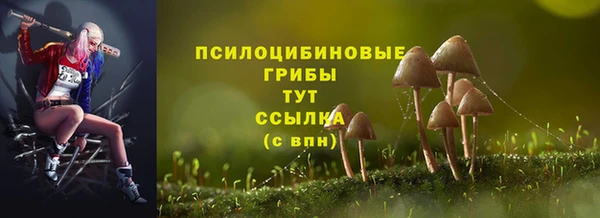 мет Пересвет