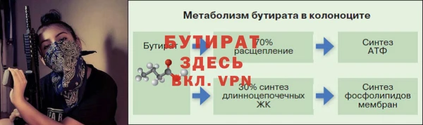 СК Зеленокумск