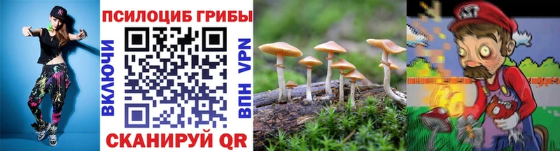 Галлюциногенные грибы GOLDEN TEACHER  Купить  Богородицк 